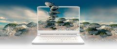 Acer ConceptD CN715 72G-Intel Core i7 10th Generation 10875H 2.30GHz | 32GB Ram | 1TB SSD